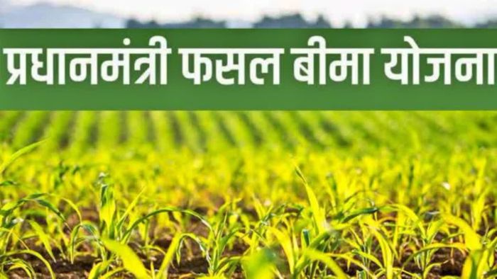 अब फसल खराब होने की चिंता खत्म! जशपुर के अऋणी किसानों को प्रधानमंत्री फसल बीमा योजना का लाभ, सिर्फ 5% प्रीमियम में बागवानी फसलों का बीमा