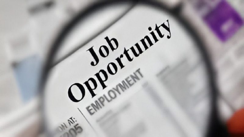 जशपुर के हजारों युवाओं की किस्मत बदलने जा रहा स्किल कैम्प! फायर फाइटर से लैब टेक्नीशियन तक दर्जनों ट्रेड में मिलेंगे हाई-इनकम जॉब ऑफर