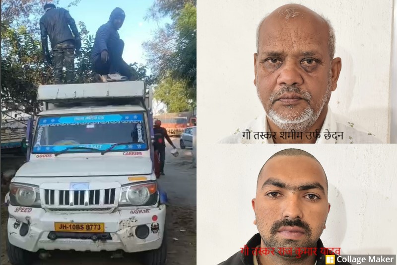 ऑपरेशन शंखनाद की बड़ी सफलता : रात–सुबह की दो धड़पकड़ में तस्करों की चेन टूटी! जशपुर पुलिस ने छुड़ाए 13 गौ-वंश, दो तस्कर सलाखों के पीछे.