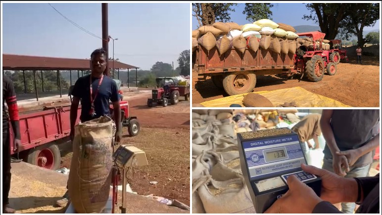 जशपुर जिले में धान खरीदी तेज रफ्तार से जारी: 2,628 किसानों से अब तक 1,67,246 क्विंटल धान की खरीदी, 39.62 करोड़ का भुगतान