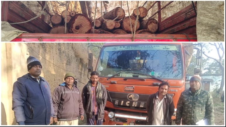 रात के अंधेरे में तस्करी की कोशिश नाकाम: जशपुर वन विभाग ने सघन गश्त में पकड़ा सेमल लकड़ी से लदा आईशर ट्रक