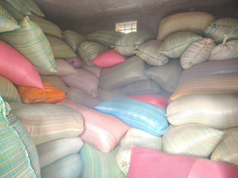 समर्थन मूल्य खरीदी पर निगरानी सख्त: कांसाबेल क्षेत्र में तीन जगहों पर छापेमारी, 400 से 1000 बोरी तक धान बरामद, प्रशासन ने की बड़ी कार्यवाही