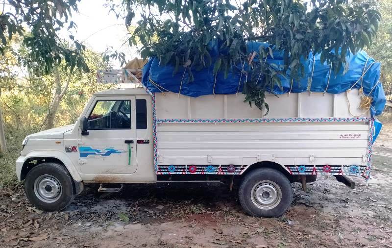 अवैध धान परिवहन पर पुलिस की सख्ती जारी : धान खरीदी सीजन में बड़ी कार्रवाई, उड़ीसा से आ रहा 30 क्विंटल अवैध धान जब्त, दोकड़ा क्षेत्र से अवैध धान परिवहन करते पिक-अप पकड़ाई, कार्यवाही हेतु सौंपा गया जिला प्रशासन को.