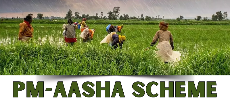 किसानों को बड़ा लाभ: PM-AASHA योजना में अरहर, मूंग, उड़द, चना, मसूर, सरसों व सोयाबीन की खरीदी तय—जशपुर में 1 दिसंबर से शुरू पंजीयन