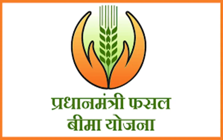 रबी 2025-26 सीजन के लिए फसल बीमा अधिसूचित: जशपुर जिले के अऋणी बागवानी किसानों को स्वयं करना होगा पंजीकरण, मात्र 5% प्रीमियम पर मिलेगा संरक्षण