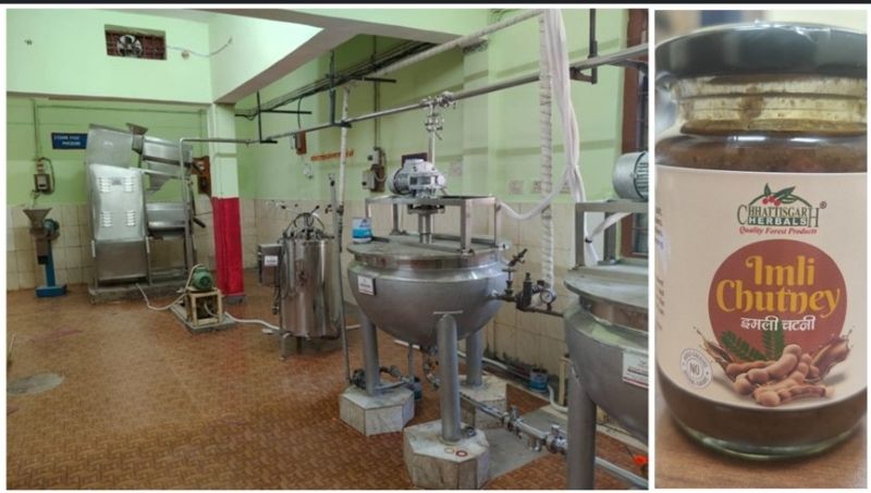 वन धन से आत्मनिर्भरता की ओर कदम, सुकमा की महिलाएँ देंगी बस्तर की इमली चटनी को राष्ट्रीय पहचान, वन विभाग की पहल से खुले नए रोजगार अवसर