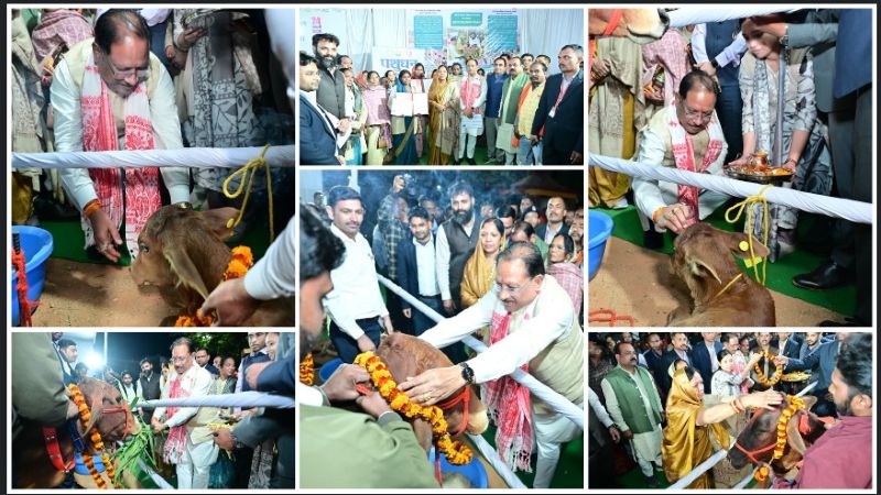 गौ-संरक्षण से महिला सशक्तिकरण की दिशा में बड़ा कदम: मुख्यमंत्री विष्णुदेव साय ने बगिया में दुधारू गायों व पशुपालक स्वास्थ्य कार्ड का किया वितरण