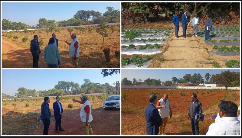जशपुर बन रहा उद्यानिकी विकास का नया केंद्र, केंद्रीय नोडल अधिकारी बी.के. प्रुस्ती ने स्ट्रॉबेरी, फल विविधता और ऑयल पाम प्रक्षेत्रों का किया निरीक्षण, किसानों की पहल को बताया प्रेरणादायी