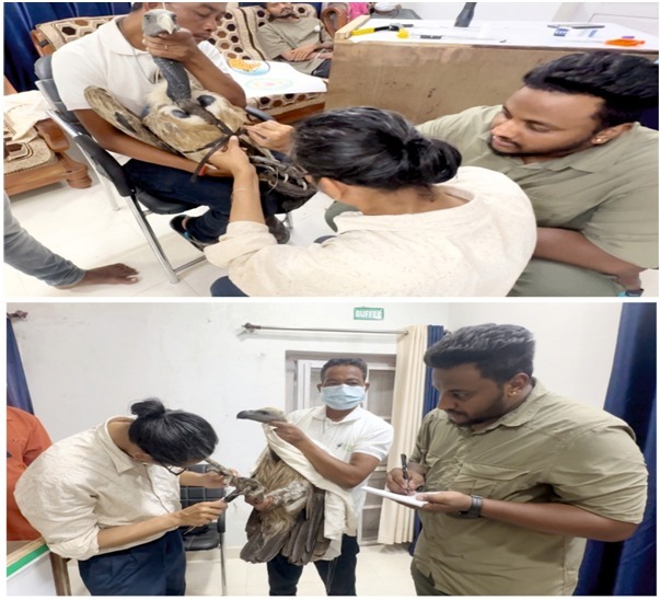 पर्यावरण के ‘सफाईकर्मी’ गिद्धों के संरक्षण का मॉडल बना इंद्रावती: छत्तीसगढ़ ने रचा नया इतिहास