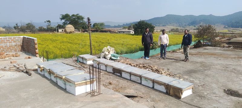 जशपुर के किसानों के लिए खुशखबरी: राष्ट्रीय बागवानी मिशन के तहत मधुमक्खी पालन से बढ़ेगी आय, 20 कृषकों को बी-बॉक्स, कॉलोनी और शहद निष्कासन यंत्र पर सरकारी अनुदान