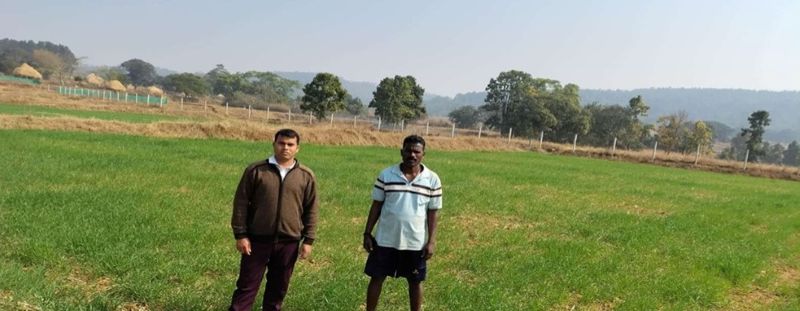 कम लागत में अधिक मुनाफे की मिसाल बना जशपुर का किसान, मनोरा विकासखण्ड के कीना राम ने खरीफ के साथ रबी में गेहूं की खेती कर बढ़ाई आमदनी, कृषि विभाग की योजनाओं से मिला लाभ