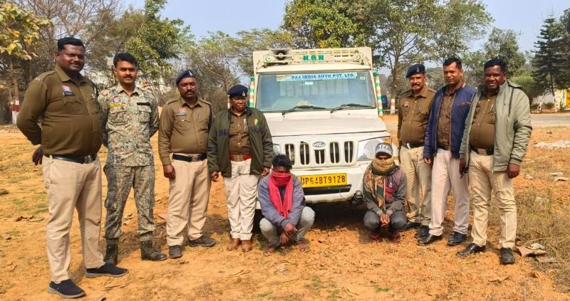 मवेशी तस्करी पर चंदौरा पुलिस का शिकंजा : 2 तस्कर गिरफ्तार, 60 हजार के 2 रास भैंसा व पिकअप वाहन जप्त