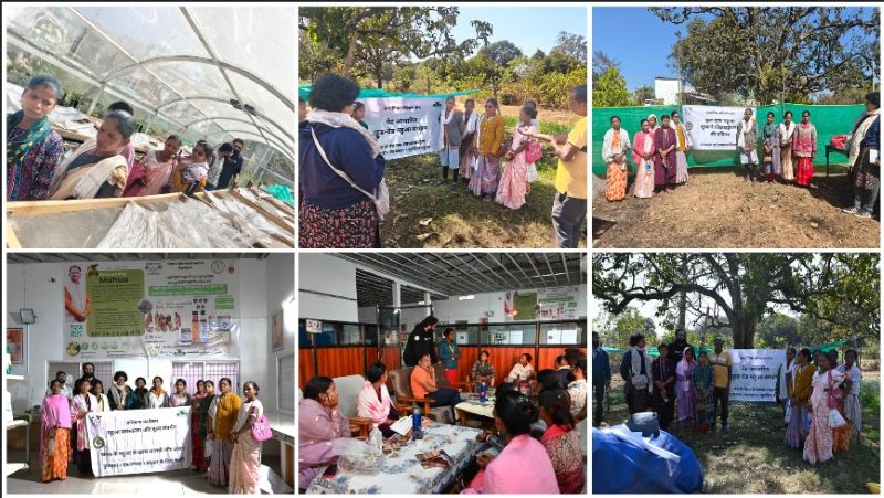जशपुर का महुआ सेंटर ऑफ एक्सीलेंस बना परिवर्तन की धुरी, पारंपरिक वनोपज से आधुनिक खाद्य आजीविका तक का सफल मॉडल