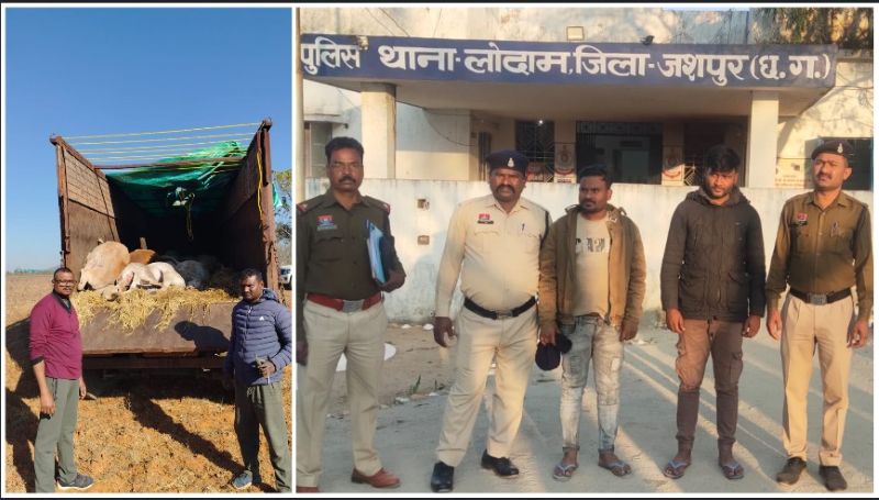 ऑपरेशन शंखनाद : गौ तस्करी के खिलाफ जशपुर पुलिस सक्रिय, गत चार दिवस में अलग – अलग थाना क्षेत्रों में 95 नग गौ वंशों को छुड़ाया तस्करों के चंगुल से, दो आरोपी गौ तस्करों को भी गिरफ्तार कर भेजा जेल