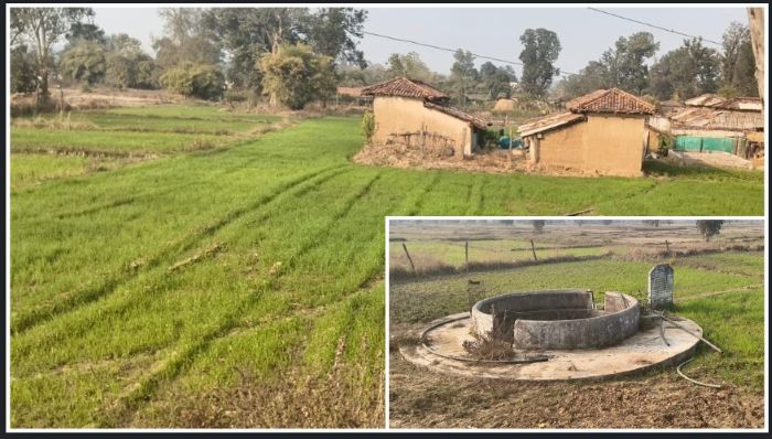 मनेंद्रगढ़-चिरमिरी-भरतपुर जिले के चिड़ौला में जल संरक्षण का सफल मॉडल: शक्तिगत कूप निर्माण से जयबहादुर सिंह सहित आसपास के किसानों को मिला स्थायी सिंचाई स्रोत, बढ़ी पैदावार और मजबूत हुई ग्रामीण अर्थव्यवस्था