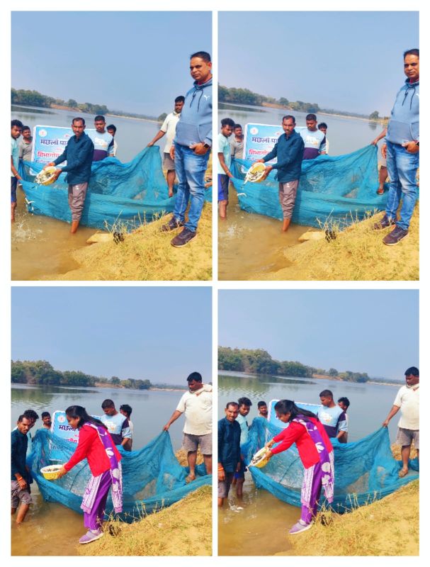 स्वरोजगार से पोषण सुरक्षा तक: जशपुर जिले के एनीकट्स में फिंगरलिंग संचयन से मछली पालन को नई रफ्तार, ग्रामीण अर्थव्यवस्था को मिलेगा सशक्त समर्थन