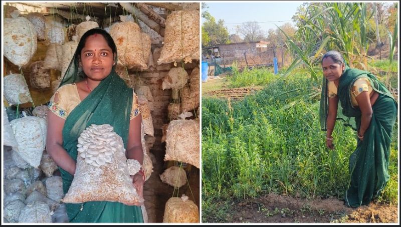 मुख्यमंत्री के सुशासन से सशक्त हुई महिलाएं : मजदूरी से मशरूम उत्पादन और अब स्वयं की दुकान से ‘लखपति दीदी’ बनीं बृहस्पति धुर्वे