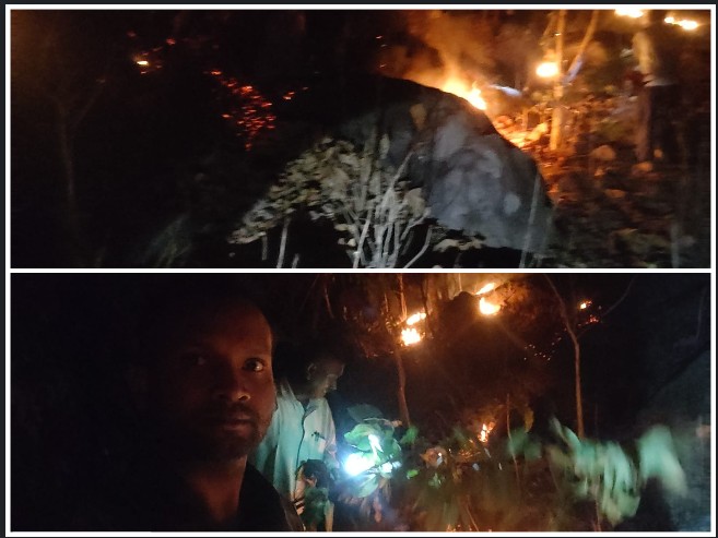 जंगलों में आग फैलने से पहले वन विभाग ने संभाली स्थिति, पूरी रात चला नियंत्रण अभियान — जशपुर वनमंडल में दो स्थानों पर लगी आग बुझाकर बचाई गई बड़ी वन संपदा, वनाग्नि सूचना के लिए संपर्क नंबर भी जारी