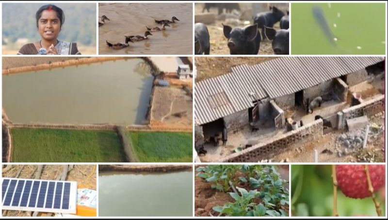 धान से आगे बढ़ी खेती की नई राह: संजीता एक्का ने अपनाए बहुआयामी कृषि मॉडल, अब मत्स्य, बत्तख और बागवानी से कमा रहीं बेहतर आमदनी—23-25 मार्च को कुनकुरी में लगेगा कृषि क्रांति एक्सपो