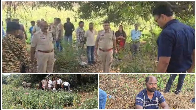 “ऑपरेशन आघात” का जोरदार धमाका: तमनार के जंगलों में एक एकड़ में पनप रही अफीम की काली खेती का भंडाफोड़, झारखंड कनेक्शन उजागर, आरोपी दबोचा—NDPS एक्ट में कड़ी कार्रवाई