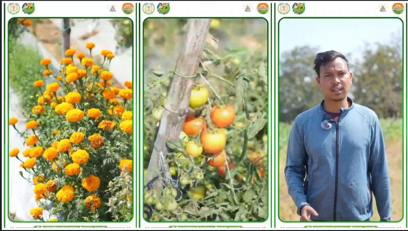 ड्रिप, मल्चिंग और नवाचार का कमाल: भीतघरा के प्रगतिशील किसान मुकेश कुजूर बने मिसाल, बहुफसली खेती से बढ़ाई आय और किसानों को दी नई दिशा