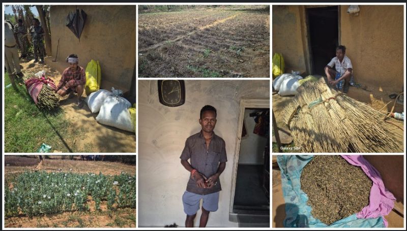 रायगढ़ में नशे के खिलाफ सख्त अभियान: नवीन घटगांव और मुड़ागांव में अवैध अफीम खेती का खुलासा, पुलिस-प्रशासन की ताबड़तोड़ कार्रवाई में 3 आरोपी रिमांड पर