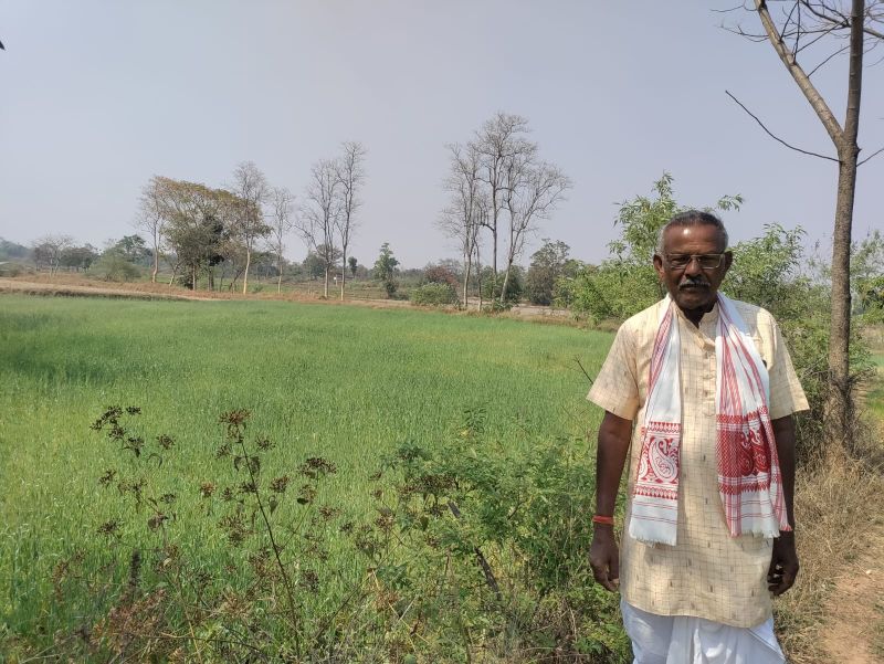 जशपुर में बदली खेती की तस्वीर: मुख्यमंत्री विष्णुदेव साय की पहल से आधुनिक तकनीक अपनाकर किसानों की आय 5 हजार से बढ़कर 16 हजार रुपये प्रति एकड़ पहुंची