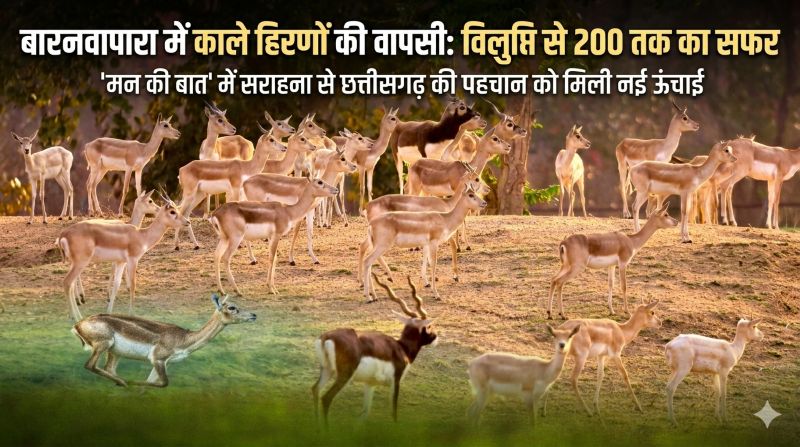 विलुप्ति के कगार से वापसी की प्रेरक कहानी: बारनवापारा अभयारण्य में काले हिरणों का पुनर्जीवन बना राष्ट्रीय उदाहरण, ‘मन की बात’ में उल्लेख पर CM विष्णु देव साय बोले—यह छत्तीसगढ़ की बड़ी उपलब्धि