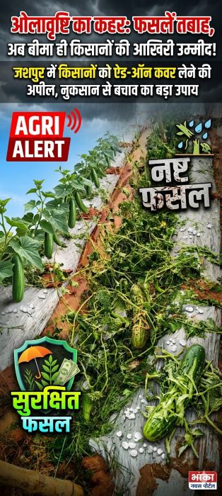 किसानों के लिए अलर्ट! प्रधानमंत्री फसल बीमा योजना में सिर्फ बेसिक बीमा से नहीं चलेगा काम, ऐड-ऑन कवर बना जिंदगी की सुरक्षा कवच