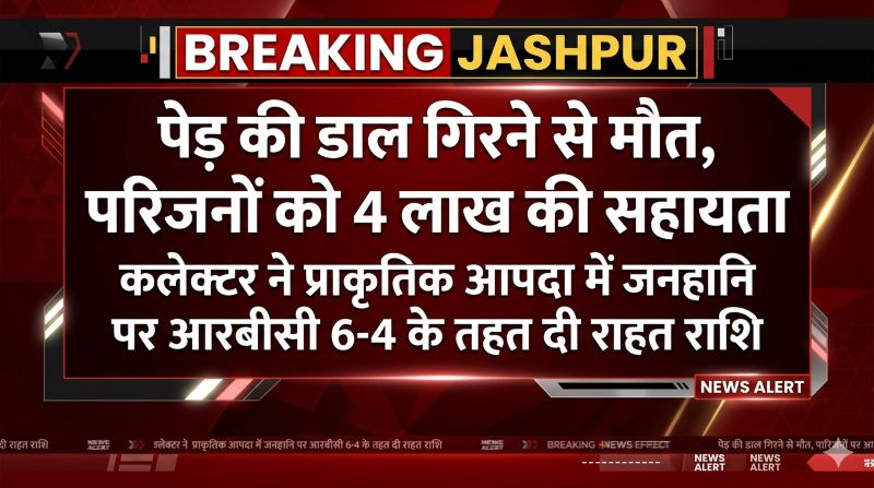 एक झटके में उजड़ा परिवार! पेड़ की डाल बनी मौत का कारण, जशपुर में मृतक के वारिस को मिली 4 लाख की आर्थिक सहायता