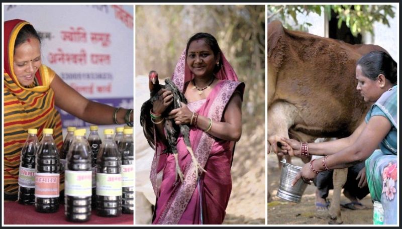 महिलाओं की मेहनत और योजनाओं की ताकत : औराटोला में 65 परिवार बने ‘लखपति’, खेती, पशुपालन और ग्रामीण उद्यम से बदली तस्वीर, पूरे छत्तीसगढ़ के लिए प्रेरणा बना गाँव