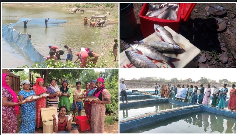 मत्स्य क्रांति की मिसाल बना जशपुर! विष्णुदेव साय के नेतृत्व में 21 हजार टन से ज्यादा उत्पादन—मछुआरों की आय में जबरदस्त उछाल