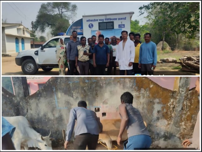 ग्राम रजौटी में पशु रोग प्रकरण पर बड़ी राहत: पशु चिकित्सा विभाग की तत्परता से संक्रमण पर काबू, 250 पशुओं का टीकाकरण, नमूने रायपुर लैब भेजे गए