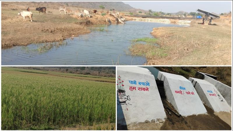 “मनरेगा से बदली गांव की तस्वीर”—विष्णुदेव साय के विजन से पनारी नाला हुआ पुनर्जीवित, 1200 ग्रामीणों को पेयजल व सिंचाई का स्थायी सहारा, किसानों की आय में आया उछाल