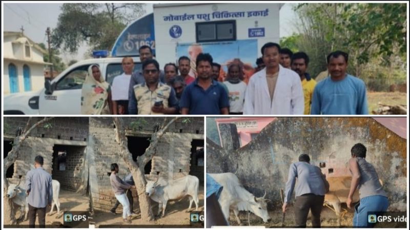 5 मौतों के बाद अलर्ट हुआ प्रशासन: गांवों में जांच और इलाज के बाद राहत, 549 पशुओं का टीकाकरण—पशुपालकों से सतर्क रहने की अपील