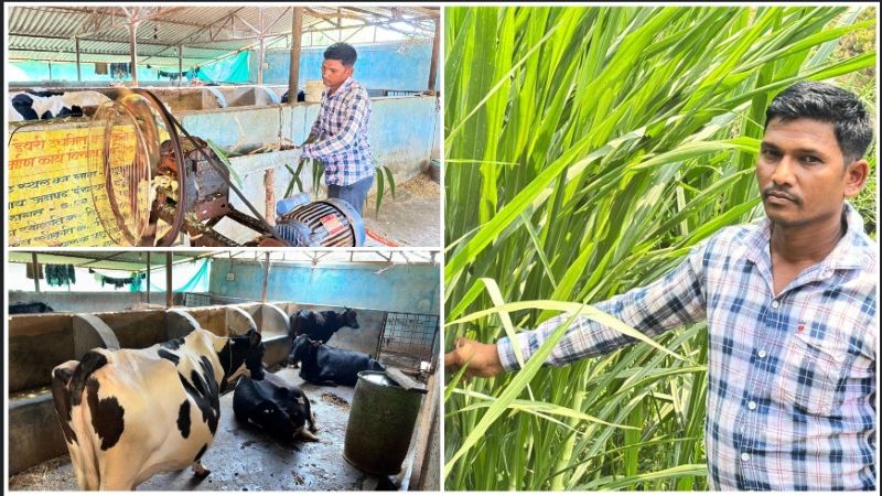 संघर्ष से सफलता की मिसाल: गुमड़ा के ललित यादव ने तकनीक और मेहनत से बदली किस्मत, रोज 80 लीटर दूध उत्पादन के साथ ‘मल्टी-फार्मिंग’ मॉडल से गांव-गांव में जगाई समृद्धि की नई उम्मीद