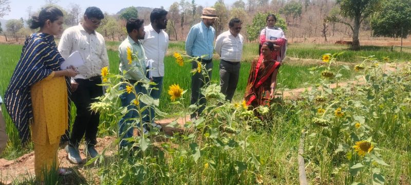 ‘दीदी के बखरी’ से बदल रही कांकेर की तस्वीर: बिहान योजना के तहत महिला किसानों ने रची आय क्रांति, एकीकृत खेती से बढ़ी आत्मनिर्भरता