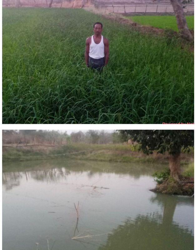 संघर्ष से सफलता तक—सगनू राम ने डबरी, रागी खेती और मछली पालन से रचा नया इतिहास, मनरेगा ने गांव में दिखाई आत्मनिर्भरता की राह