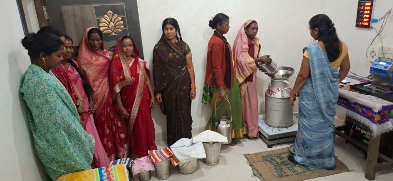 जशपुर में महिला सशक्तिकरण की मिसाल: National Dairy Development Board योजना से 24 गांवों में डेयरी क्रांति—साहिवाल गायों से बढ़ी आय, लाखों की DBT राशि ने बदली ग्रामीण अर्थव्यवस्था