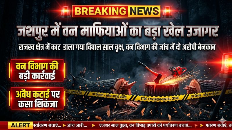 जशपुर में साल वृक्षों पर चला अवैध कटाई का आरा, वन विभाग की जांच में दो आरोपी बेनकाब, कार्रवाई से मचा हड़कंप
