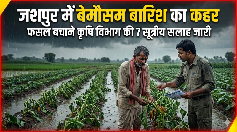 बारिश बनी किसानों की चिंता : जशपुर में फसल बचाने कृषि विशेषज्ञों की अहम सलाह, जलनिकासी से लेकर फसल बीमा तक सतर्क रहने की अपील