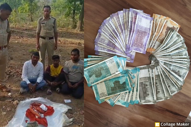 कुदरगढ़ जंगल में चल रहा था जुए का खेल : घेराबंदी कर पुलिस ने पकड़े जुआरी, फड़ से 22 हजार 800 रुपये जब्त, पुलिस ने पांच जुआरियों को किया गिरफ्तार.