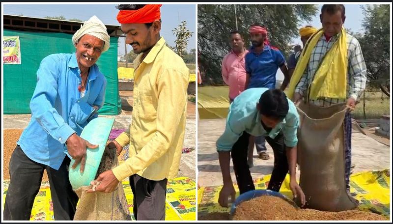 धमतरी का गौरव: ‘विश्व की सबसे बड़ी अनाज भंडारण योजना’ में बनाया कीर्तिमान, प्रदेश के कुल चने का 50% अकेले खरीदा