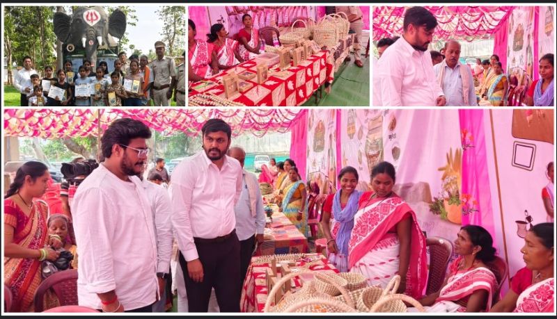 तपकरा में अंतर्राष्ट्रीय जैव विविधता दिवस पर जागरूकता की अनूठी पहल, विद्यार्थियों ने लिया प्रकृति संरक्षण का संकल्प, फॉरेस्ट फूड फेस्टिवल और हस्तशिल्प प्रदर्शनी बने आकर्षण का केंद्र