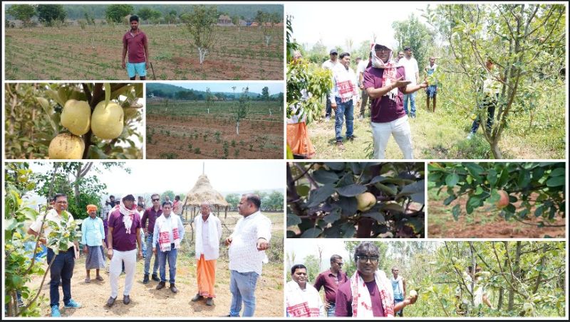 विशेष लेख : मुख्यमंत्री विष्णुदेव साय के नेतृत्व में जशपुर बना फलों की खेती का उभरता केंद्र, मनोरा-बगीचा क्षेत्र के 410 किसान सेब उत्पादन से हो रहे आर्थिक रूप से सशक्त, जिले की कृषि व्यवस्था में आ रहा ऐतिहासिक बदलाव
