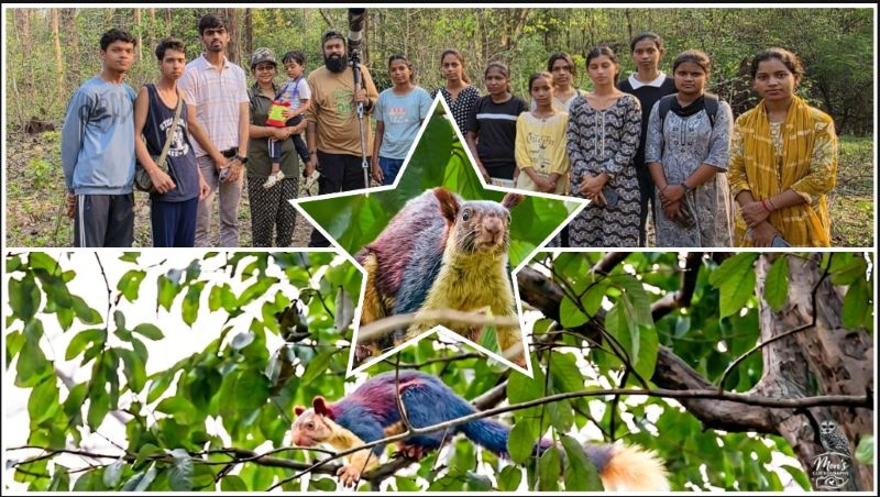 देवपुर जंगल में दुर्लभ ‘जायंट मालाबार स्क्विरल’ की मौजूदगी से बढ़ा उत्साह, बारनवापारा में जैव विविधता संरक्षण को मिली बड़ी उपलब्धि, वन विभाग ने जताई खुशी