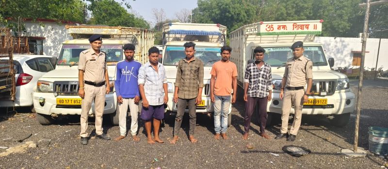 अंतर्राज्यीय मवेशी तस्करी गिरोह का भंडाफोड़: जांजगीर–चाम्पा पुलिस की बड़ी कार्रवाई में 5 आरोपी गिरफ्तार, 15 भैंसें क्रूरता से भरी पिकअप में बरामद—22.5 लाख के मवेशी और 18 लाख के 3 वाहन जब्त, ओडिशा ले जाया जा रहा था खेप
