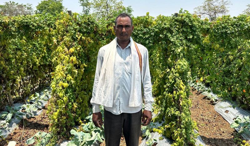 सफलता की इबारत: वाटरशेड योजना ने बदली किसान छबी लाल की तकदीर, बंजर होती उम्मीदों में घुली खुशहाली की हरियाली