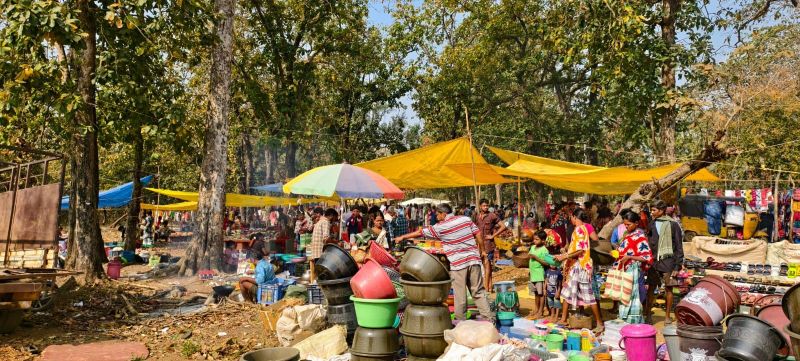 जहां कभी डर से बंद हो गए थे बाजार, वहां अब उमड़ रही भीड़! नक्सल मुक्त बीजापुर में फिर सजने लगीं साप्ताहिक हाटें, जंगलों से निकलकर विकास की राह पर लौटे आदिवासी गांव