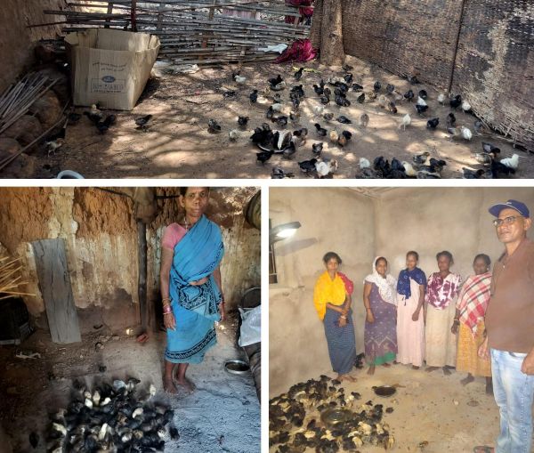 सफलता की कहानी – नियद नेल्लानार योजना: कच्चापाल जलप्रपात के पास ‘इन्द्रावती समूह’ की महिलाएँ मुर्गी पालन से लिख रहीं आत्मनिर्भरता की नई इबारत